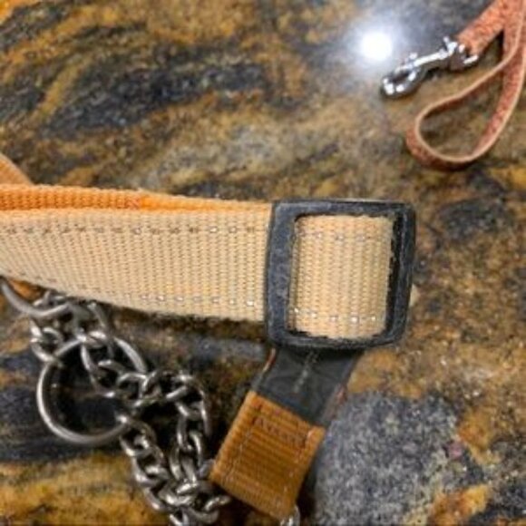 ROGZ dog collar with leash - Picture 3 of 6